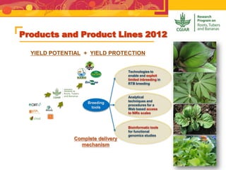 Products and Product Lines 2012
YIELD POTENTIAL + YIELD PROTECTION
Complete delivery
mechanism
Technologies to
enable and exploit
limited inbreeding in
RTB breeding
Analytical
techniques and
procedures for a
Web based access
to NIRs scales
Bioinformatic tools
for functional
genomics studies
Breeding
tools
 