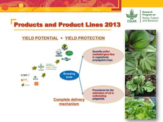 Products and Product Lines 2013
YIELD POTENTIAL + YIELD PROTECTION
Complete delivery
mechanism
Quantify pollen
mediated gene flow
in vegetatively
propagated crops
Procedures for the
estimation of LD in
outbreeding
polyploids
Breeding
tools
 