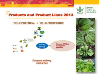 Products and Product Lines 2013
YIELD POTENTIAL + YIELD PROTECTION
Complete delivery
mechanism
Common RTB Data
management
platforms
Variety
develop
 