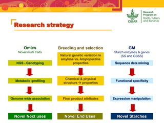 Research strategy
Novel Starches
Sequence data mining
Functional specificity
Expression manipulation
GM
Starch enzymes & genes
(SS and GBSS)Natural genetic variation in
amylose vs. Amylopectine
properties
Chemical & physical
structure  properties
Final product attributes
Novel End Uses
Breeding and selection
Novel Next uses
NGS - Genotyping
Metabolic -profiling
Genome wide association
Omics
Novel multi traits
 