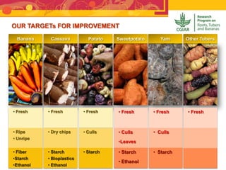 Banana Cassava Potato Sweetpotato Yam Other Tubers
• Fresh • Fresh • Fresh • Fresh • Fresh • Fresh
OUR TARGETs FOR IMPROVEMENT
• Ripe
• Unripe
• Fiber
•Starch
•Ethanol
• Dry chips
• Starch
• Bioplastics
• Ethanol
• Culls
• Starch
• Culls
•Leaves
• Starch
• Ethanol
• Culls
• Starch
 