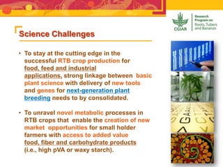 Science Challenges
• To stay at the cutting edge in the
successful RTB crop production for
food, feed and industrial
applications, strong linkage between basic
plant science with delivery of new tools
and genes for next-generation plant
breeding needs to by consolidated.
• To unravel novel metabolic processes in
RTB crops that enable the creation of new
market opportunities for small holder
farmers with access to added value
food, fiber and carbohydrate products
(i.e., high pVA or waxy starch).
 