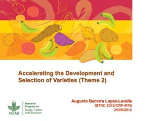 Accelerating the Development and
Selection of Varieties (Theme 2)
Augusto Becerra Lopez-Lavalle
ISTRC-2012/CRP-RTB
25/09/2012
 