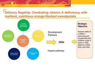 RTB - Presentation for Discussion with Donors and Partners - June 2013