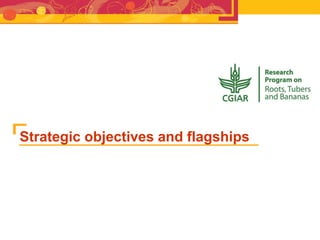 RTB - Presentation for Discussion with Donors and Partners - June 2013