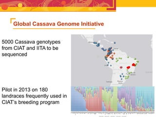 RTB - Presentation for Discussion with Donors and Partners - June 2013