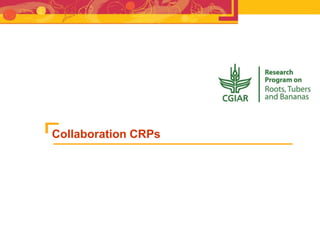 RTB - Presentation for Discussion with Donors and Partners - June 2013