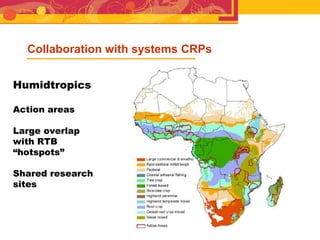 RTB - Presentation for Discussion with Donors and Partners - June 2013
