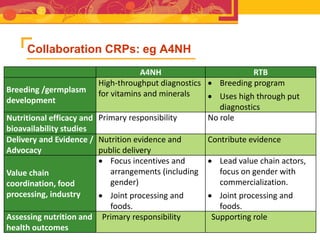 RTB - Presentation for Discussion with Donors and Partners - June 2013