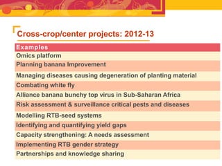 RTB - Presentation for Discussion with Donors and Partners - June 2013