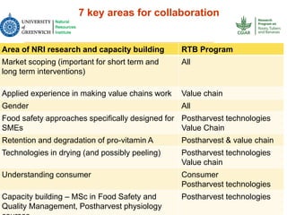 RTB - Presentation for Discussion with Donors and Partners - June 2013