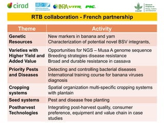 RTB - Presentation for Discussion with Donors and Partners - June 2013