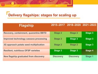 RTB - Presentation for Discussion with Donors and Partners - June 2013