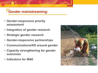 RTB - Presentation for Discussion with Donors and Partners - June 2013