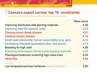 RTB - Presentation for Discussion with Donors and Partners - June 2013