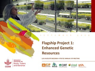 S E P T E M B E R 2 0 1 8
Flagship Project 1:
Enhanced Genetic
Resources
LUIS AUGUSTO BECERRA • RTB ISC ANNUAL F2F MEETING
 