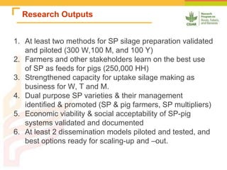 Improving the utilization of sweetpotato and other roots and tuber crop residues for pig feeds in Uganda