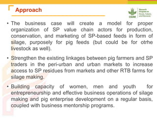 Improving the utilization of sweetpotato and other roots and tuber crop residues for pig feeds in Uganda