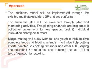 Improving the utilization of sweetpotato and other roots and tuber crop residues for pig feeds in Uganda