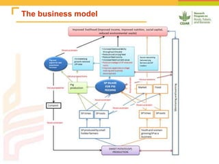 Improving the utilization of sweetpotato and other roots and tuber crop residues for pig feeds in Uganda