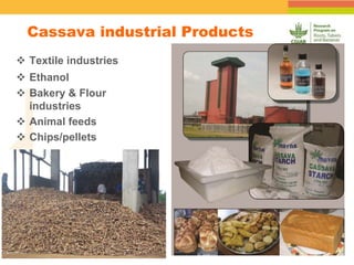 Spatial Variability of Soil Organic Carbon in a Cassava Farm Nigeria