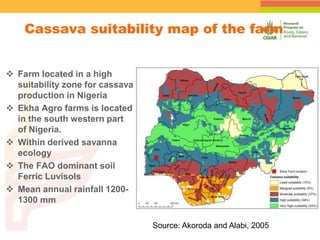 Spatial Variability of Soil Organic Carbon in a Cassava Farm Nigeria