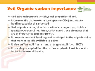 Spatial Variability of Soil Organic Carbon in a Cassava Farm Nigeria