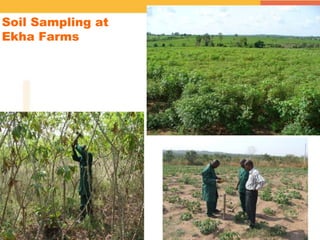 Spatial Variability of Soil Organic Carbon in a Cassava Farm Nigeria