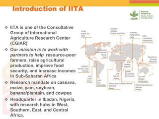 Spatial Variability of Soil Organic Carbon in a Cassava Farm Nigeria