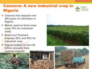 Spatial Variability of Soil Organic Carbon in a Cassava Farm Nigeria
