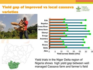 Spatial Variability of Soil Organic Carbon in a Cassava Farm Nigeria