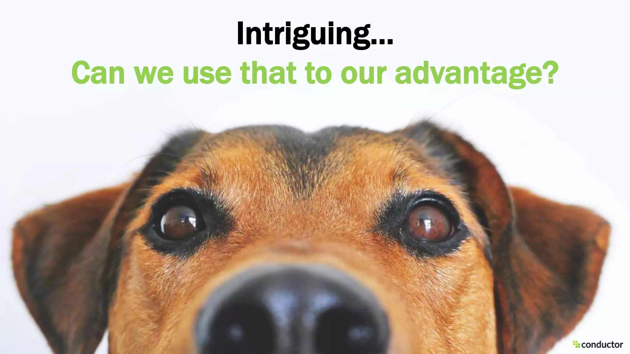 Intriguing…
Can we use that to our advantage?
 