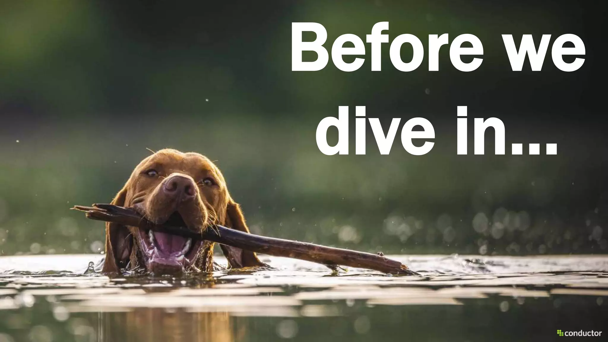 Before we
dive in…
 