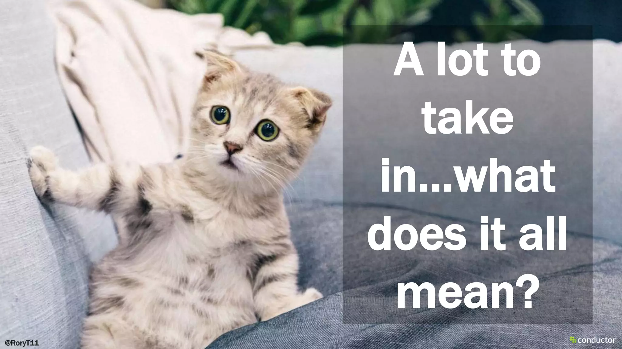 A lot to
take
in…what
does it all
mean?
@RoryT11
 