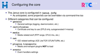 Janus workshop @ RTC2019 Beijing | PDF