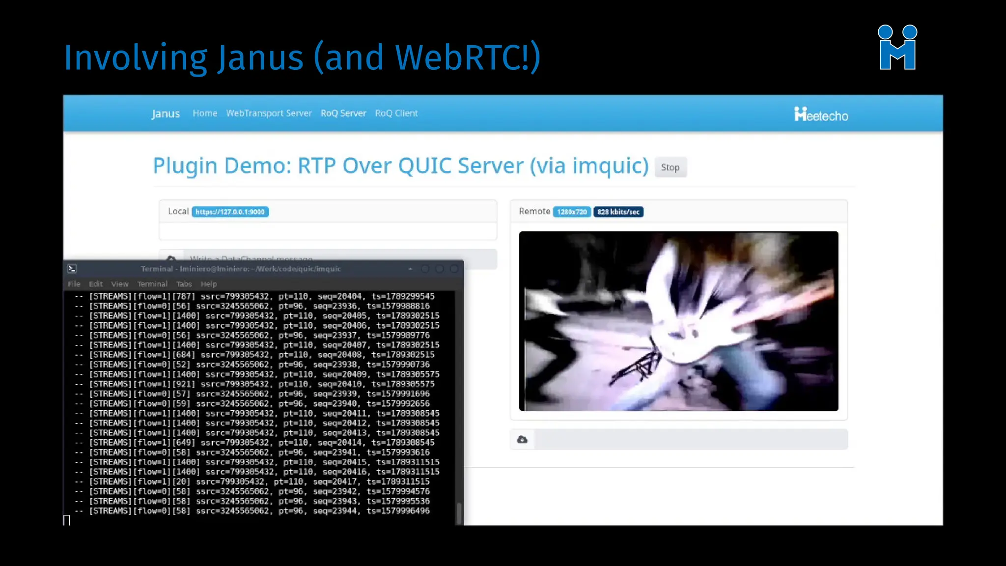 Involving Janus (and WebRTC!)
 