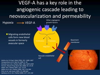 VEGF-A has a key role in the
              angiogenic cascade leading to
           neovascularization and permeability
                                                                  Other angiogenic
 Hypoxia                          VEGF-A                          growth factors




       Migrating endothelial
        cells form new blood
        vessels in formerly                       Proliferation     Proteolysis
                                                                                     Basement
                                                                                     membrane
        avascular space
                                                             Migration




                                                     Vascular endothelial
                                                     cell
Aiello et al. N Engl J Med 1994; 331: 1480-1487
Campochiaro et al. Mol Vis 1999; 5: 34
Dvorak et al. Am J Pathol 1995; 146: 1029-1039
Ferrara. Recent Prog Horm Res 2000; 55: 15-35
Miller. Am J Pathol 1997; 151: 13-23
Miller et al. Am J Pathol 1994; 145: 574-584
Pe’er et al. Lab Invest 1995; 72: 638-645
Spilsbury et al. Am J Pathol 2000; 157: 135-144
 