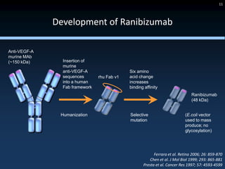 11




              Development of Ranibizumab

Anti-VEGF-A
murine MAb
(~150 kDa)      Insertion of
                murine
                anti-VEGF-A                  Six amino
                sequences       rhu Fab v1   acid change
                into a human                 increases
                Fab framework                binding affinity
                                                                               Ranibizumab
                                                                               (48 kDa)


               Humanization                  Selective                     (E.coli vector
                                             mutation                      used to mass
                                                                           produce; no
                                                                           glycosylation)




                                                          Ferrara et al. Retina 2006; 26: 859-870
                                                        Chen et al. J Mol Biol 1999; 293: 865-881
                                                    Presta et al. Cancer Res 1997; 57: 4593-4599
 