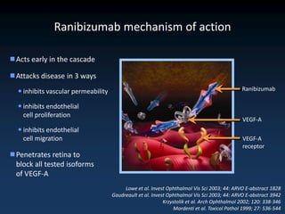 Ranibizumab mechanism of action

Acts early in the cascade

Attacks disease in 3 ways
   inhibits vascular permeability                                                             Ranibizumab

   inhibits endothelial
    cell proliferation
                                                                                               VEGF-A
   inhibits endothelial
    cell migration                                                                             VEGF-A
                                                                                               receptor
Penetrates retina to
 block all tested isoforms
 of VEGF-A
                                          Lowe et al. Invest Ophthalmol Vis Sci 2003; 44: ARVO E-abstract 1828
                                     Gaudreault et al. Invest Ophthalmol Vis Sci 2003; 44: ARVO E-abstract 3942
                                                            Krzystolik et al. Arch Ophthalmol 2002; 120: 338-346
                                                                 Mordenti et al. Toxicol Pathol 1999; 27: 536-544
 