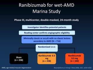 Ranibizumab for wet-AMD
                           Marina Study
               Phase III, multicenter, double-masked, 24-month study

                                Investigator identifies potential patients

                            Reading center confirms angiographic eligibility

                            Minimally classic or occult with no classic lesions
                                     secondary to AMD (N = 716)

                                           Randomized 1:1:1


                                            Ranibizumab 0.3                     Ranibizumab
                  Sham                             mg                              0.5 mg
                (n = 238)                       (n = 238)                         (n = 240)

AMD, age-related macular degeneration                        Rosenfeld et al. N Engl J Med 2006; 355: 1419-1431
 