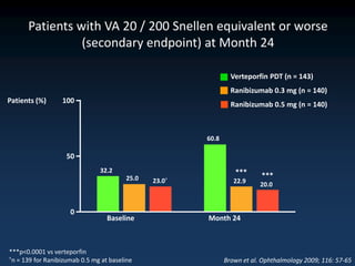 Patients with VA 20 / 200 Snellen equivalent or worse
                (secondary endpoint) at Month 24

                                                                Verteporfin PDT (n = 143)
                                                                Ranibizumab 0.3 mg (n = 140)
Patients (%)      100
                                                                Ranibizumab 0.5 mg (n = 140)



                                                       60.8

                    50
                               32.2                              ***
                                        25.0                              ***
                                               23.0†             22.9     20.0



                     0
                                  Baseline             Month 24



***p<0.0001 vs verteporfin
†n = 139 for Ranibizumab 0.5 mg at baseline                   Brown et al. Ophthalmology 2009; 116: 57-65
 