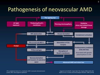 6



  Pathogenesis of neovascular AMD
                                                                       The ageing eye

            UV light                        Thickening Bruch’s                                                                     Oxidative
                                                                                   Thinning choriocapillaris
           exposure                             membrane                                                                   stress and related tissue
                                                                                                                                    damage


                                            RPE dysfunction                              Drusen formation
                                                                                                                            Complement activation



                                          IL-1, IL-6, IL-8, MCP-1                      Stimulation of C5a
                                                                                            receptor
             VEGF
                                                                                                                          Inflammatory mediators
                                             Macrophages                                                                       (C3a and C5a)
                                                                                          Disruption of
                                                                                        Bruch’s membrane                    Associated with genetic
                                                                                                                             polymorphism in CFH
                                          Neovascularization
                                       and invasion of subretinal
                                                 space                                            Advanced AMD and vision loss




CFH, complement factor H; IL, interleukin; MCP, monocyte chemoattractant                    Augustin AJ, Kirchhoff J. Expert Opin Ther Targets 2009;13:641–651
protein; RPE, retinal pigment epithelium                                                   Kijlstra A et al. In Uveitis and immunological disorders. 2009. p73–85
 