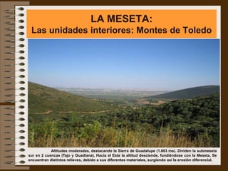 LA MESETA:
 Las unidades interiores: Montes de Toledo




            Altitudes moderadas, destacando la Sierra de Guadalupe (1.603 ms). Dividen la submeseta
sur en 2 cuencas (Tajo y Guadiana). Hacia el Este la altitud desciende, fundiéndose con la Meseta. Se
encuentran distintos relieves, debido a sus diferentes materiales, surgiendo así la erosión diferencial.
 