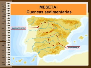 MESETA:
                  Cuencas sedimentarias


SUBMESETA NORTE




                                     SUBMESETA SUR
 