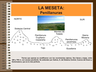 LA MESETA:
                                    Penillanuras




            Tierras que apenas se modificaron con los movimientos alpinos. Son llanas y bajas, entre
300 y 700 m, con escasa pendiente. Se extienden por Galicia, S. del Sistema Central, Cuenca del Duero y
Extremadura, que es la más perfecta.
 