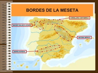 BORDES DE LA MESETA
                                CORDILLERA CANTÁBRICA




MACIZO GALAICO-LEONÉS




                                         SISTEMA IBÉRICO




SIERRA MORENA
 