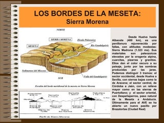 LOS BORDES DE LA MESETA:
       Sierra Morena

                                    Desde Huelva hasta
                       Albacete (400 km), es una
                       penillanura    rejuvenecida    por
                       fallas, con altitudes modestas:
                       Sierra Madrona (1.323 ms). Sus
                       materiales     son     paleozoicos
                       elevados por la orogenia alpina,
                       cuarcitas, pizarras y granitos.
                       Ellos dan el color oscuro a su
                       paisaje, junto por las sombras
                       producidas      por    las   jaras.
                       Podemos distinguir 3 tramos: el
                       sector occidental, desde Huelva a
                       Sevilla, con sierras bajas como la
                       de Aracena; el sector central, de
                       Córdoba a Jaén, con un relieve
                       mayor como en las sierras de
                       Puertollano; y el sector oriental,
                       con Despeñaperros, paso natural
                       de la Meseta a Andalucía.
                       Últimamente para el AVE se ha
                       abierto un nuevo pasillo por
                       Brazatortas (Ciudad Real)
 