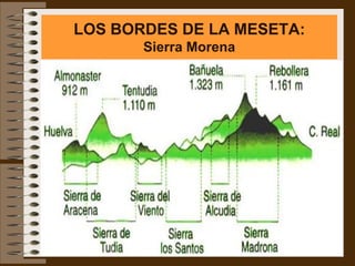 LOS BORDES DE LA MESETA:
       Sierra Morena
 