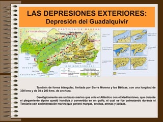 LAS DEPRESIONES EXTERIORES:
                   Depresión del Guadalquivir




            También de forma triangular, limitada por Sierra Morena y las Béticas, con una longitud de
330 kms y de 30 a 200 kms. de anchura.

             Geológicamente era un brazo marino que unía el Atlántico con el Mediterráneo, que durante
el plegamiento alpino quedó hundida y convertida en un golfo, el cual se fue colmatando durante el
Terciario con sedimentación marina que generó margas, arcillas, arenas y calizas.
 