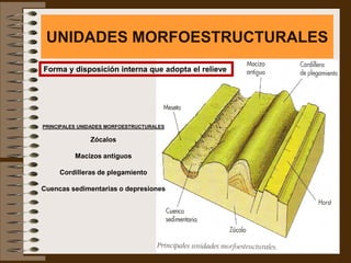UNIDADES MORFOESTRUCTURALES
Forma y disposición interna que adopta el relieve




PRINCIPALES UNIDADES MORFOESTRUCTURALES

               Zócalos

          Macizos antiguos

     Cordilleras de plegamiento

Cuencas sedimentarias o depresiones
 